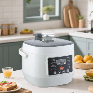 Fast Cooking 2.5L Small Size Mini Digital Control Time Presetting Household Electric Pressure Cooker
